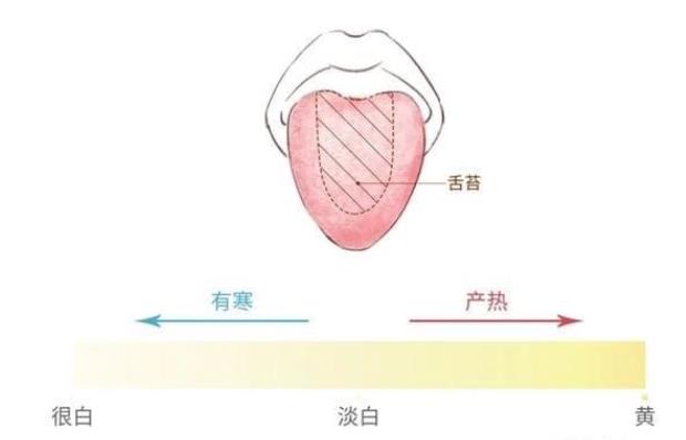 广州收紧交通管控 核酸阴性证明有效期缩短至48小时